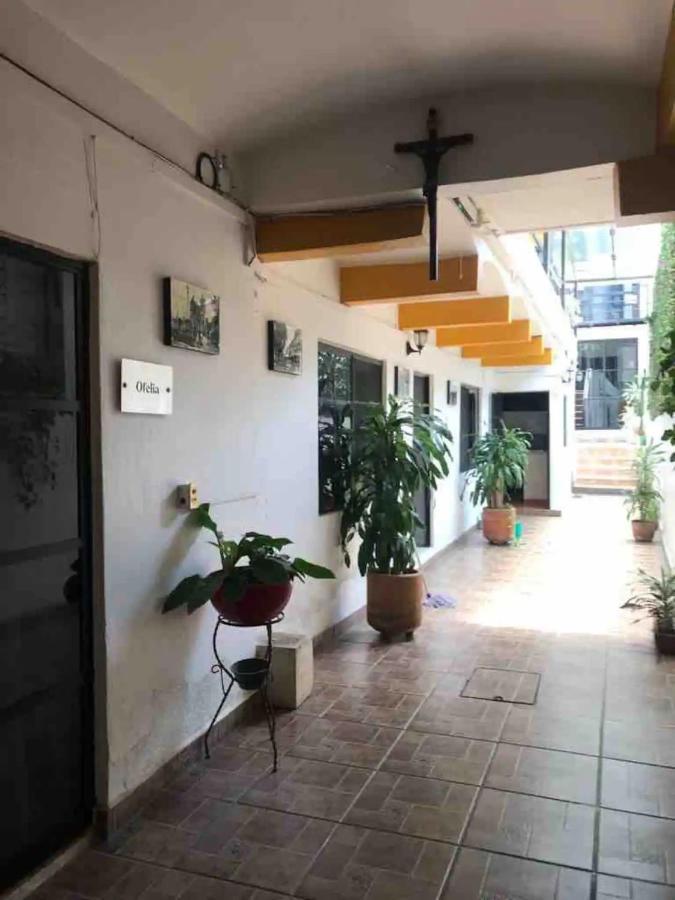 Cute Apart Excellently Located Apartment Oaxaca Exterior photo
