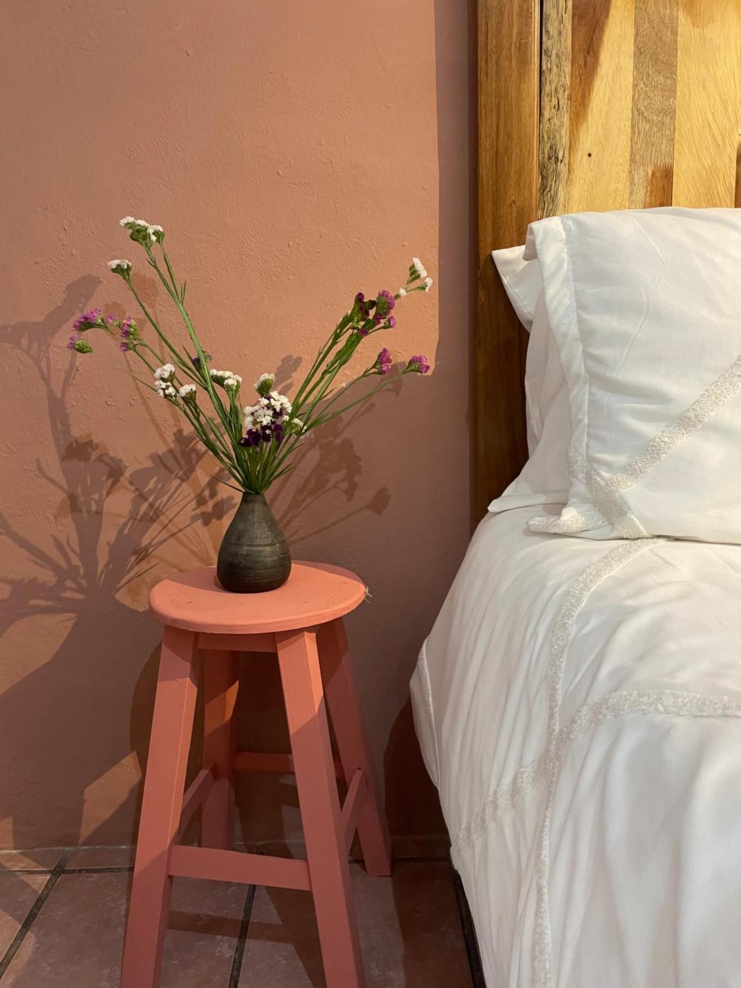 Cute Apart Excellently Located Apartment Oaxaca Exterior photo